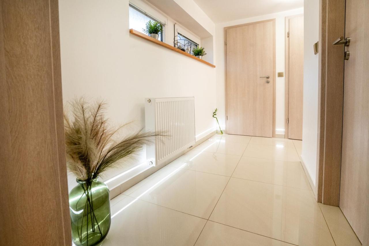Apartman U Jirika 포데브라디 외부 사진